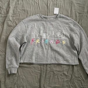 Friend’s television series girls crop sweater